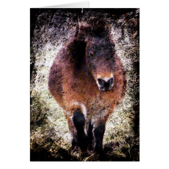 Mini Mare Grunge Cards (Front)