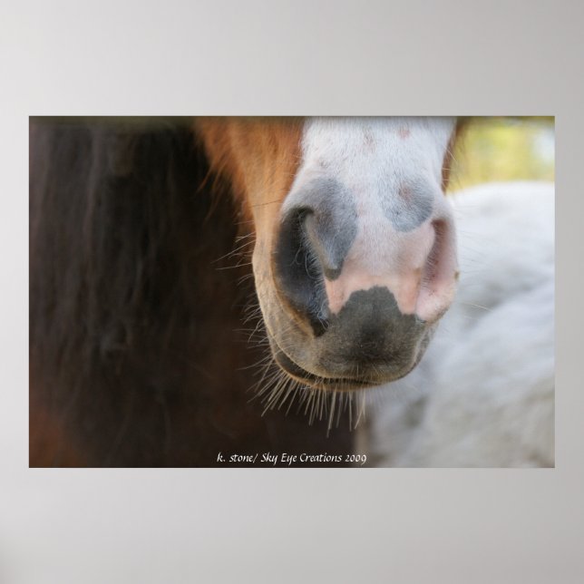 Mini nose poster (Front)