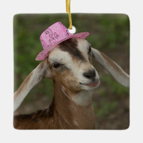 Mini Nubian Dairy Goat in a Pink Cowgirl Hat Ceramic Ornament