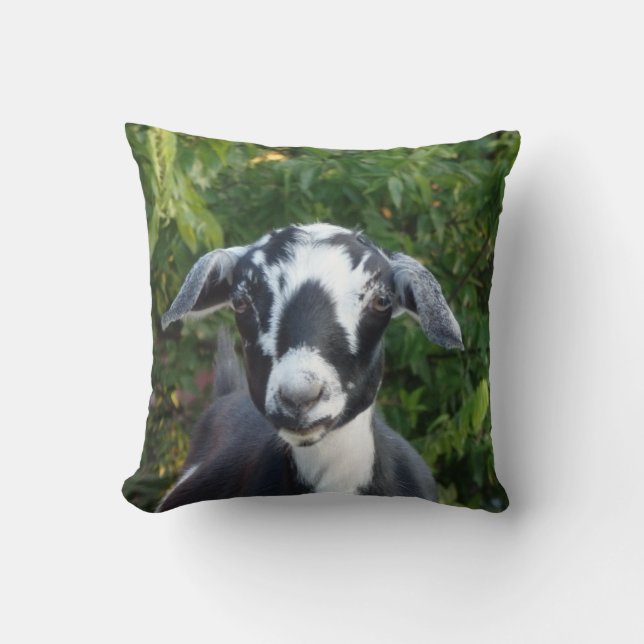 Mini Nubian Dairy Goat Throw Pillow (Front)