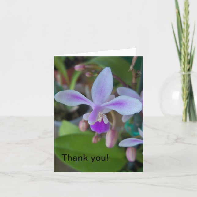 Mini orchid up close card (Front)