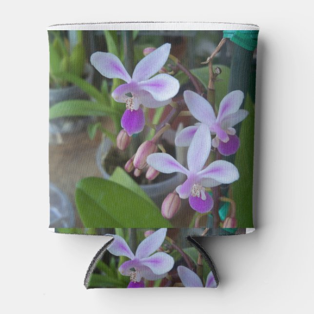 mini Phal orchids Can Cooler (Front)