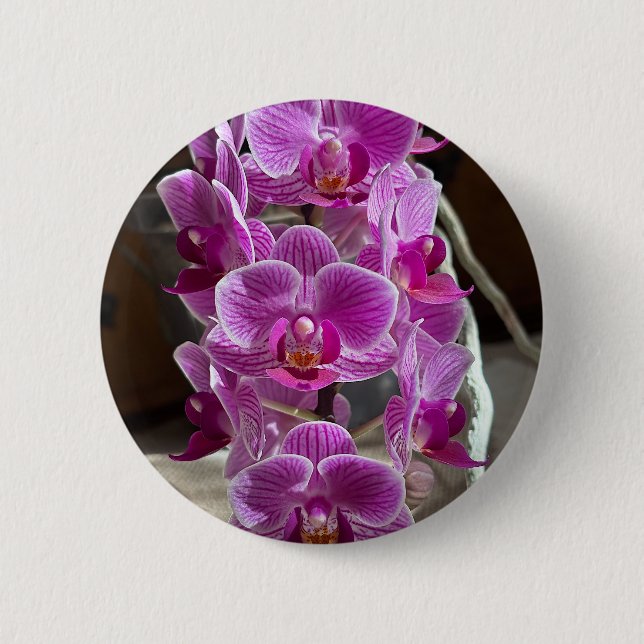 Mini Phalaenopsis Sogo Vivien Purple Orchid Flower Button (Front)