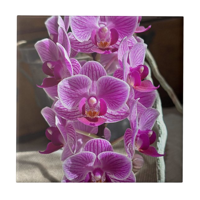Mini Phalaenopsis Sogo Vivien Purple Orchid Flower Ceramic Tile (Front)