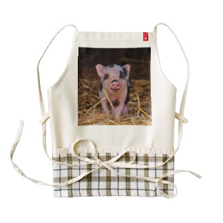 mini pig zazzle HEART apron