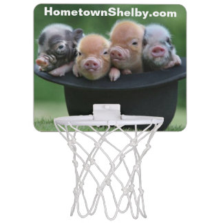 Mini Pigs Shelby NC Mini Basketball Hoop
