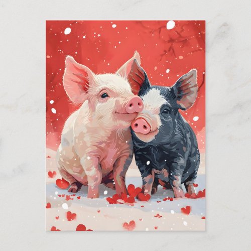 Mini Pigs Valentines day  Postcard