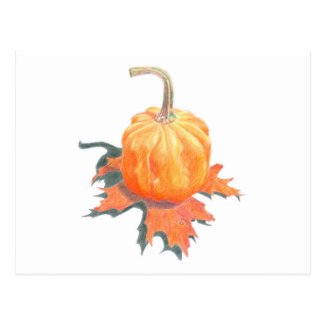 Mini Pumpkin on Oak Leaf Postcard