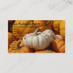 Mini Pumpkin Patch, We Grow All Kinds... Business Card