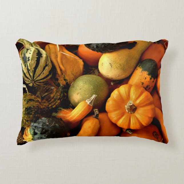 Mini Pumpkins And Gourds Assortment Fall Photo 2 Accent Pillow (Front)