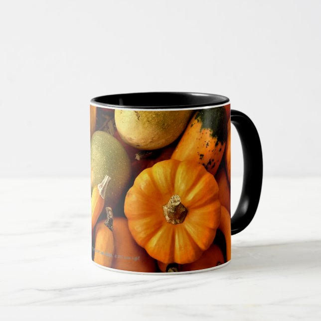 Mini Pumpkins And Gourds Assortment Fall Photo 2 Mug (Front Right)