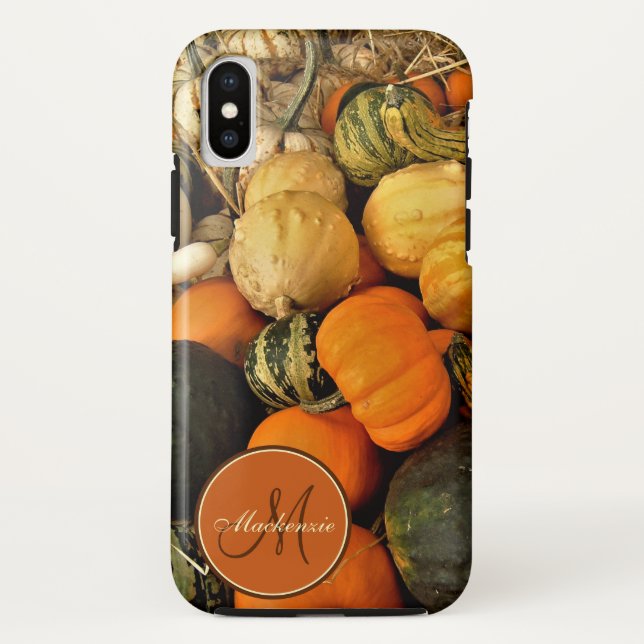Mini Pumpkins And Gourds Assortment Fall Photo Case-Mate iPhone Case (Back)