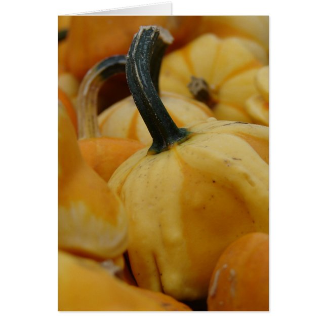 Mini Pumpkins Cards (Front)