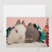 Mini rabbits (Front/Back)