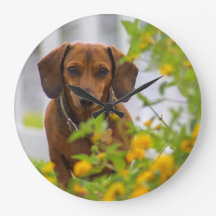 Mini Red Dachshund Clock