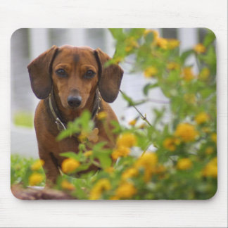 Mini Red Dachshund Mousepad