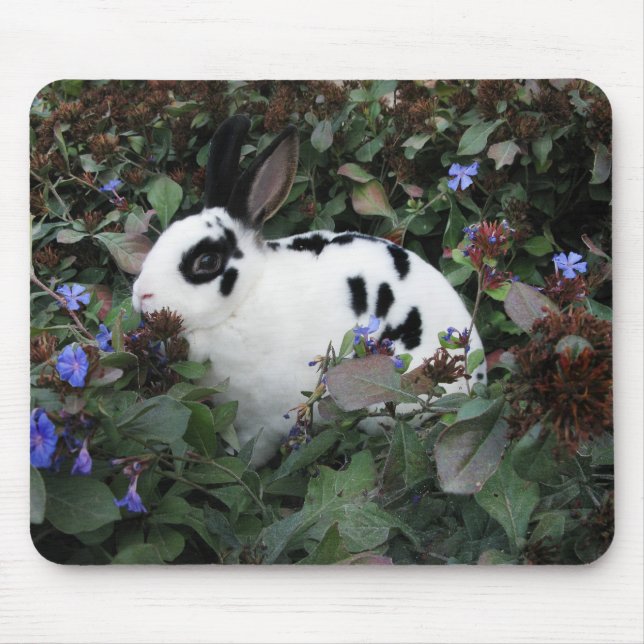 Mini Rex bunny rabbit mousepad (Front)