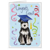 Mini Schnauzer Graduate (Front)