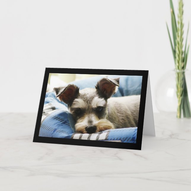 Mini Schnauzer Holiday Card (Front)