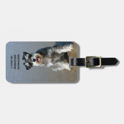 mini schnauzer_love w pic luggage tag