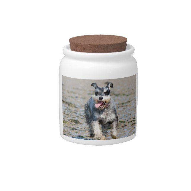 mini schnauzer-running candy jar (Front)