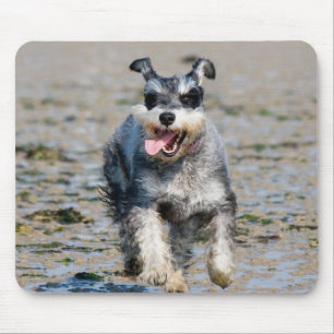 mini schnauzer-running mouse pad