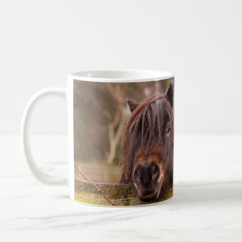  mini Shetland huge personalitys mug