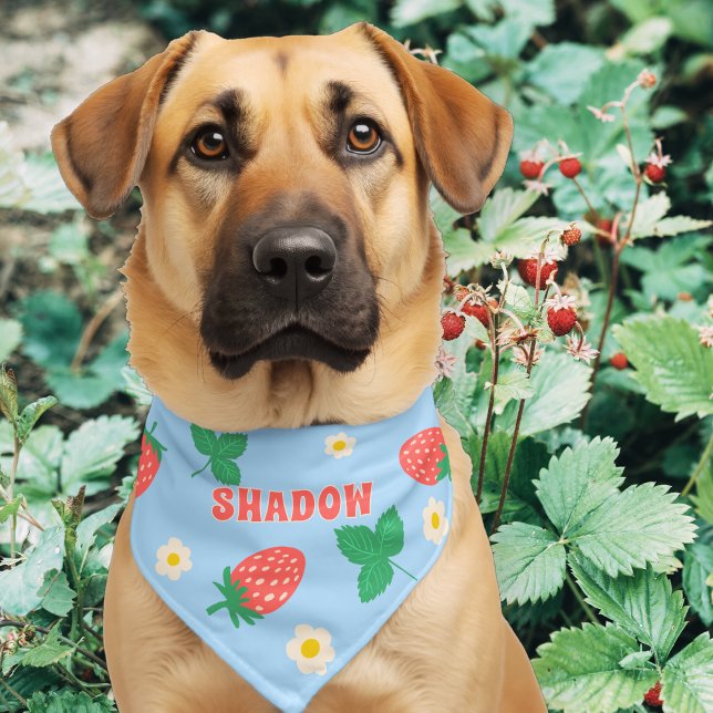Mini Strawberry Blossom Pet Bandana Collar (Creator Uploaded)