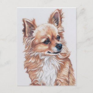 Mini the Chihuahua DogArt Postcard