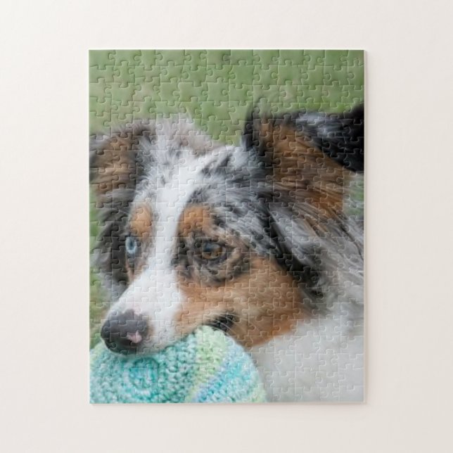 Miniature American Sepherd Blue Merle Jigsaw Puzzle (Vertical)