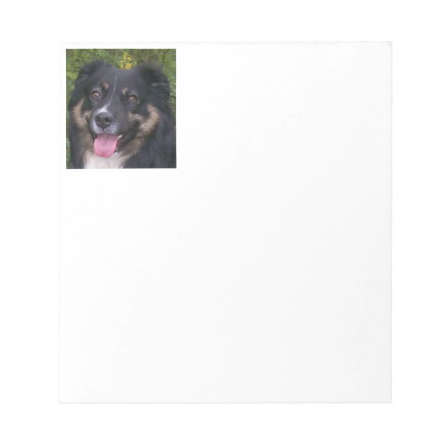 Miniature American Shepherd Black Tri Notepad (Front)