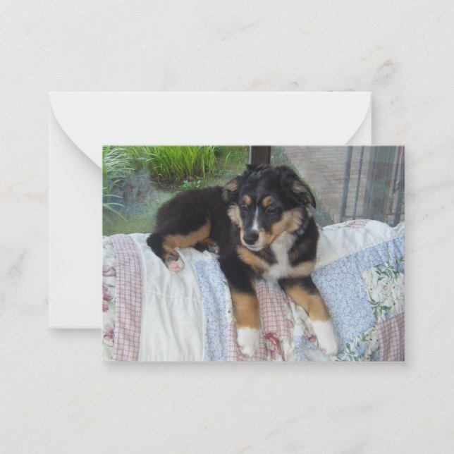 Miniature American Shepherd Black Tri Puppy Note Card (Front)