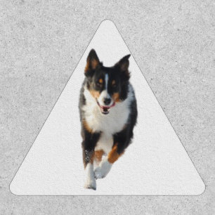 Miniature American Shepherd Black Tri Running Patch