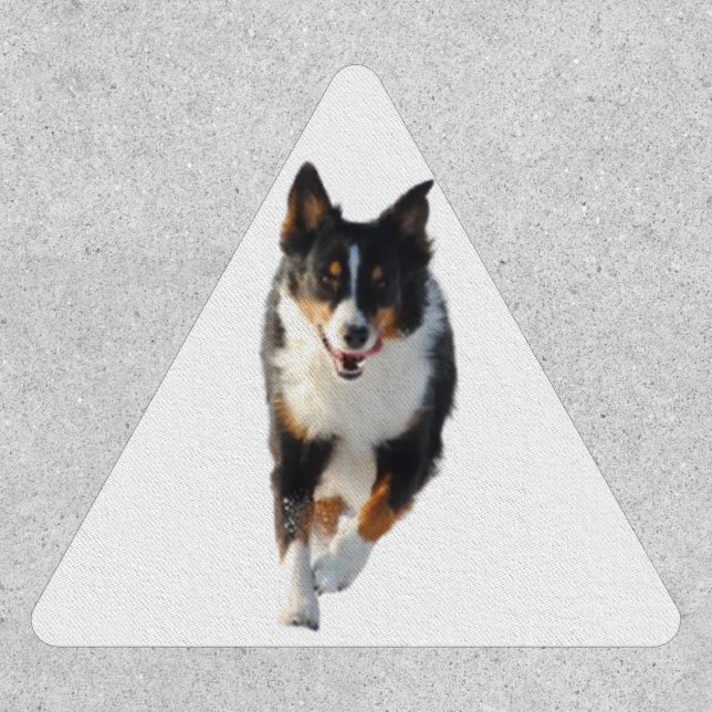 Miniature American Shepherd Black Tri Running Patch (Front)