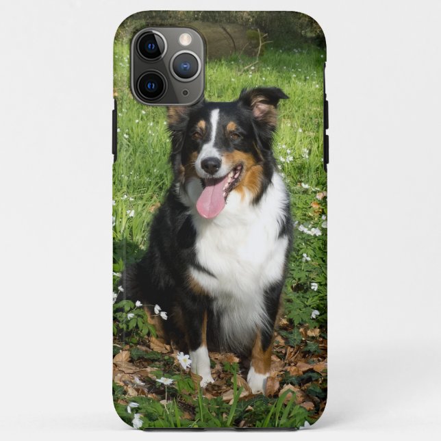 Miniature American Shepherd Black Tri Sitting Case-Mate iPhone Case (Back)