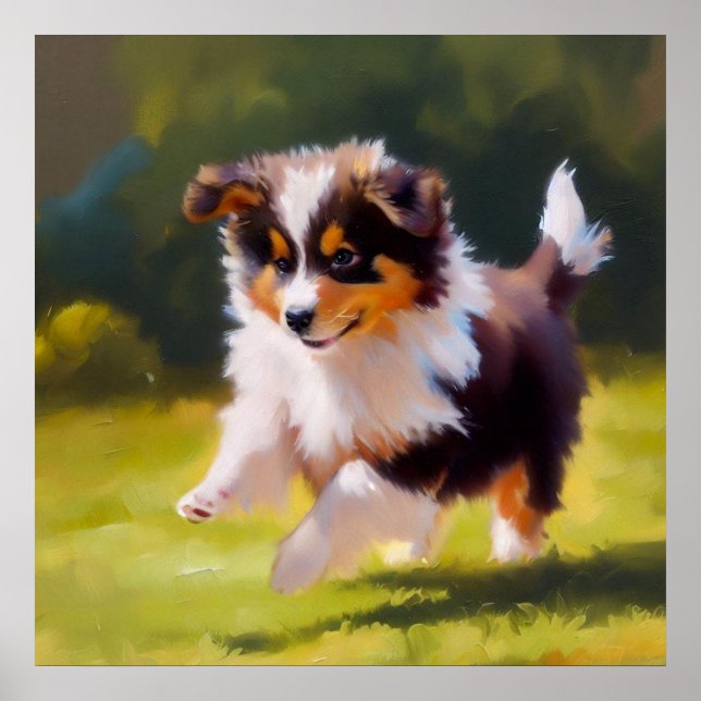 Miniature American Shepherd Dog Poster (Front)