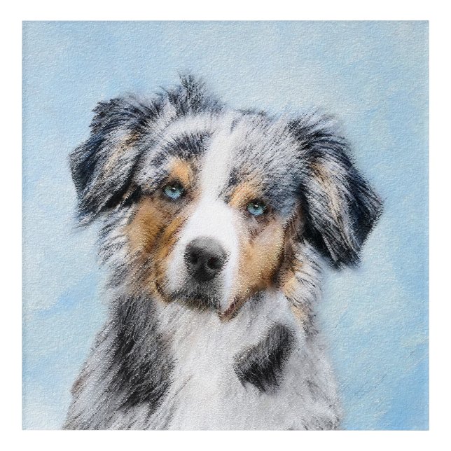 Miniature American Shepherd Painting - Dog Art (Front)
