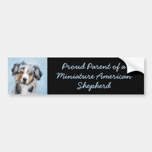 Miniature American Shepherd Painting - Dog Art Bumper Sticker