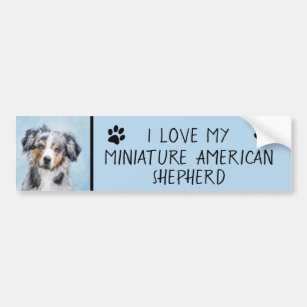 Miniature American Shepherd Painting - Dog Art Bumper Sticker
