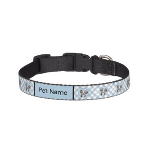 Miniature American Shepherd Painting - Dog Art Pet Collar