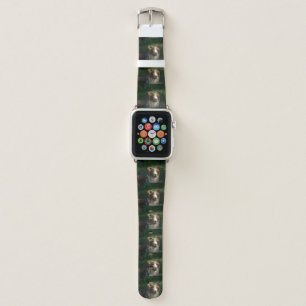 Miniature American Shepherd Red Merle Apple Watch Band