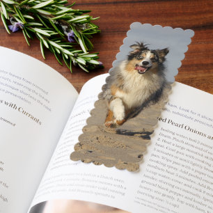 Miniature American Shepherd Running On Beach Bookmarks