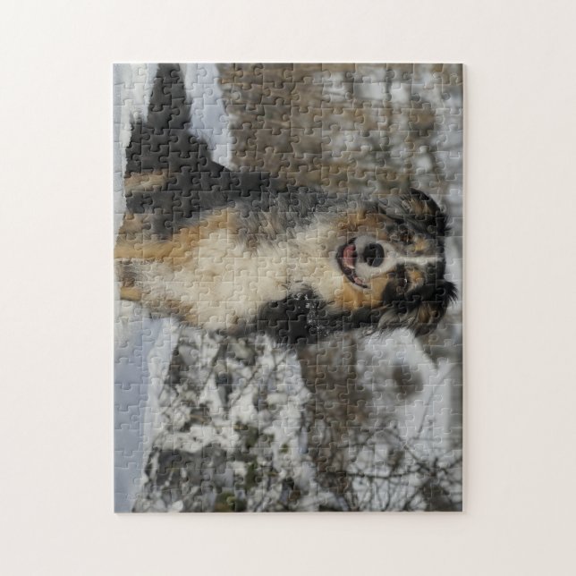 Miniature American Shepherd Sitting In Snow Jigsaw Puzzle (Vertical)