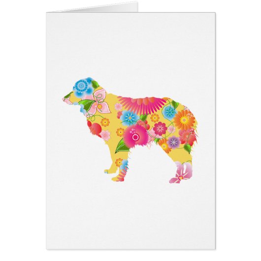 Miniature Australian Shepherd Cards (Front)