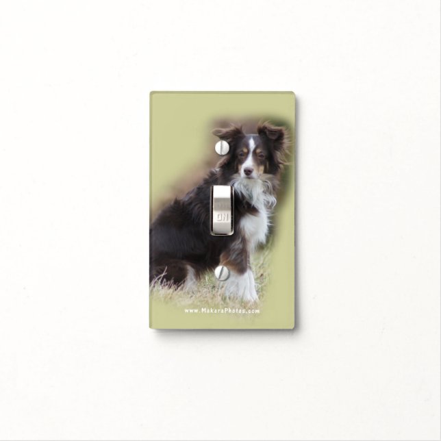 Miniature Australian Shepherd Light Switch Cover (In Situ)