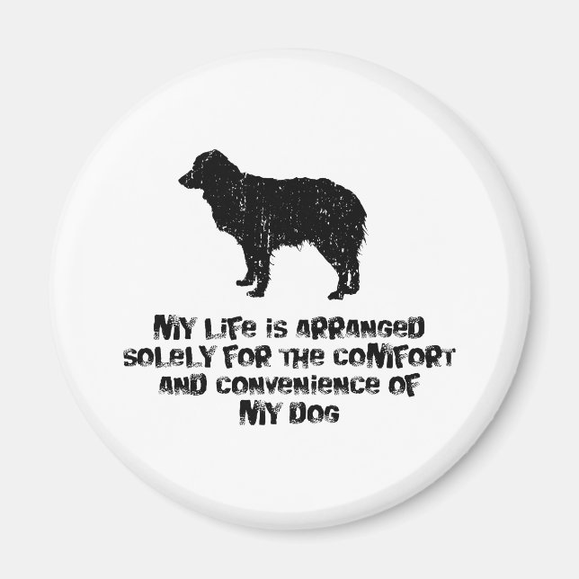 Miniature Australian Shepherd Magnet (Front)