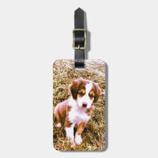 Miniature Australian Shepherd! Mini Aussie Puppy! Luggage Tag