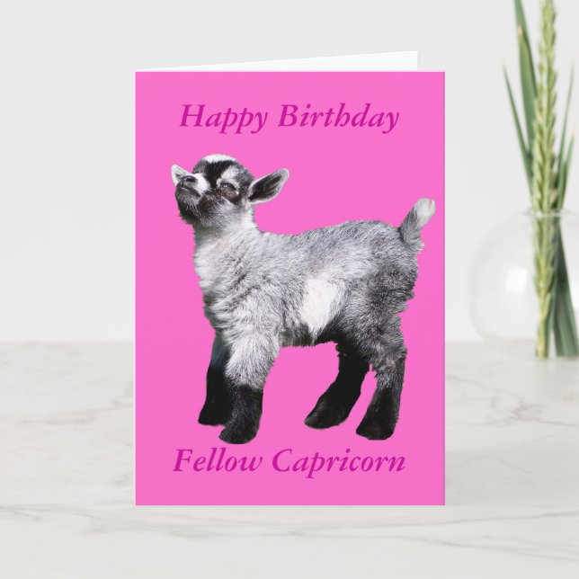 Miniature Baby Goat Card (Front)