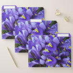 Miniature Blue Irises File Folder