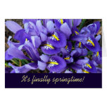 Miniature Blue Irises Spring Card (Blank Inside)